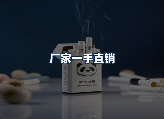 专业团队办公环境